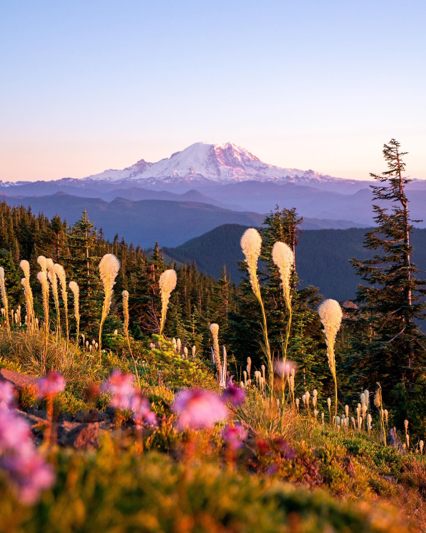 Nothing beats summer in the PNW🌸 

The past week I have been back home in Washington visiting family. Over the weekend, we managed to squeeze in a small sunset hike just outside of Mt Rainier National Park. 

I wasn’t expecting to see many wildflowers with the high snow levels that the Northwest got over the winter, and boy was I wrong. We reached the summit about 20 minutes before sunset and was greeted by Rainier, and the most beautiful wildflower fields I’ve ever seen. What a place. ✨

.
.
.
.
.
#pnwlife #mtrainiernationalpark #mtrainier #mtrainierwatch #pnwadventures #hikingbangers #washingtontrails #sonyusa #pnwhiking #hikingwashington #visitwashington #optoutdoors #hikepnw #hikewashington #hikevibes #sunsethike #suitcasetravels #outsidemagazine #trailaddict #adventureseekers #travelstoke #idhikethat #nrthwst #pnwonderland #explorewashington #nationalparkphotography #trekkingtoes #findyourselfoutside #wildernessculture #outdoorwomen