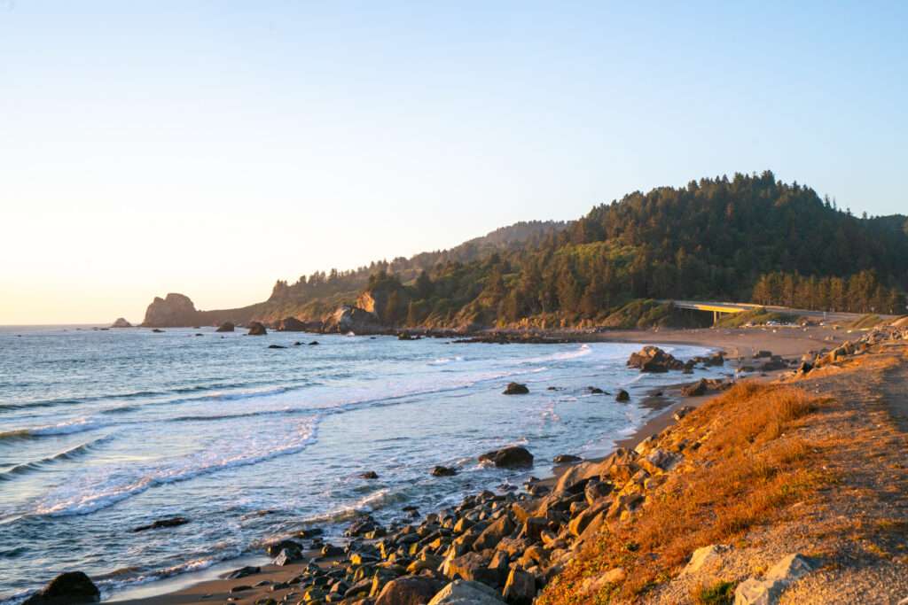 What To Do In Redwoods National Park | Somewhere Sierra