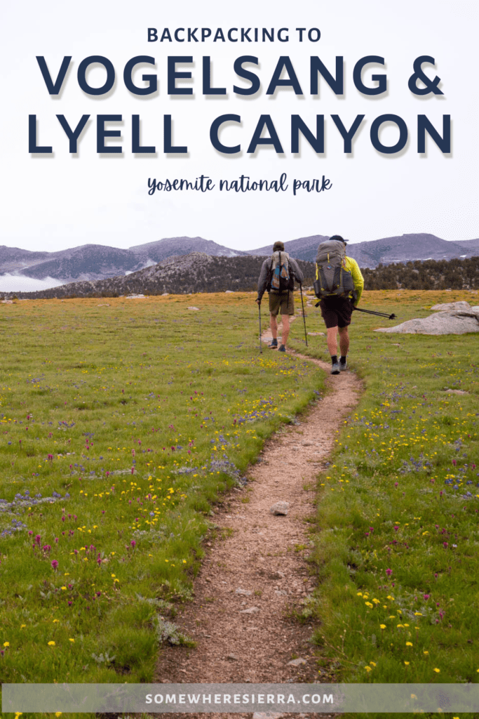 Backpacking the Vogelsang and Lyell Canyon Loop on the JMT | Somewhere Sierra