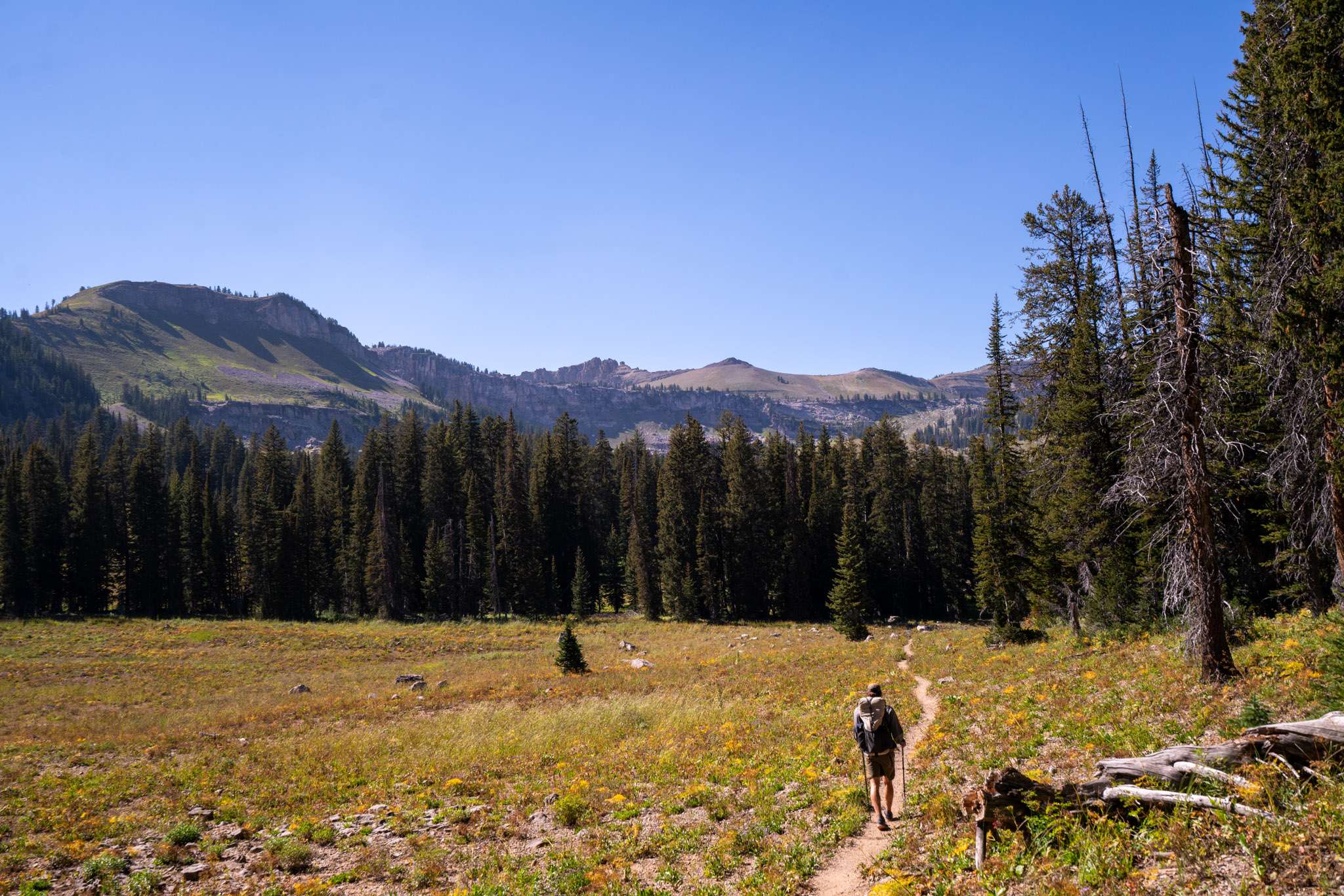 Backpacking along Middle Fork in Grand Teton National Park